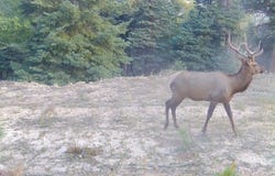 Ticonderoga Dr, Chama, NM 87520