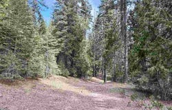 Ut 3 Bk I Lt 8 Mt. Shasta Dr., McCloud, CA 96057
