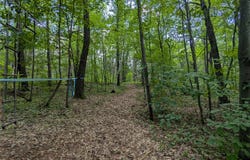 Fosmo Drive lot: 4, Webster, WI 54893