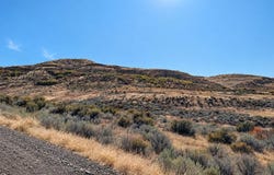 1632 Cuddy View Lane, Council, ID 83612