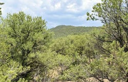 Paseo Del Canon E, Taos, NM 87571