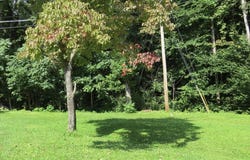 110 Mill Drive, Harlan, KY 40831