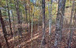 Dones Drive lot: 8, Murphy, NC 28906