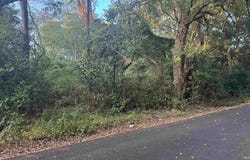 MEADOWBROOK TER, Marshall, TX 75670