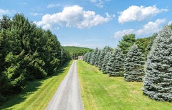 481 Bean Road, Mount Vernon, ME 04352