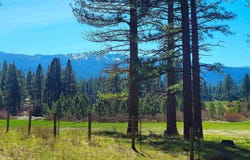 70 Cassidy Drive, Clio, CA 96103