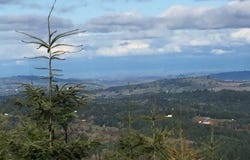 Oakdale Rd, Dallas, OR 97338
