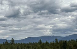 27174 N DAWSON Loop, Athol, ID 83801