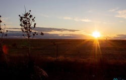 SE Main St, Roswell, NM 88201