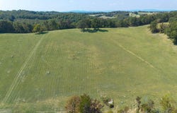 79.50 ac. (+/-) Crochet Road, Marshall, AR 72650