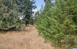 Secor Road lot: 3, Sequim, WA 98382-0000