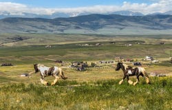 26 Dalesview, Three Forks, MT 59752