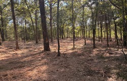 Pack Lane, Lampe, MO 65681