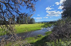 123 Cusick Meadows Rd, Cusick, WA 99119
