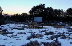 3402 State Highway 522, Questa, NM 87556