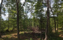 Shay Ridge Road, Wingett Run, OH 45789