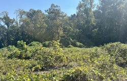 981 Gainesville Highway, Buford, GA 30518