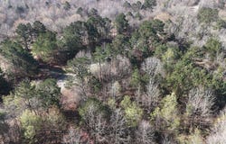 Gillham Lake Road, Gillham, AR 79841