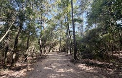 Robert Bateman Road, Franklinton, LA 70438