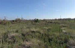 Mariner lot: 721, Sargent, TX 77414