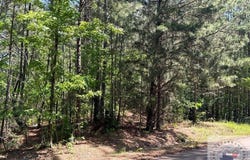 Miller St., Atlanta, TX 75551