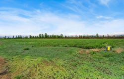 1634 Hauck Meadows Dr, Frederick, CO 80504