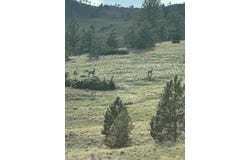 Big Timber, MT 59011
