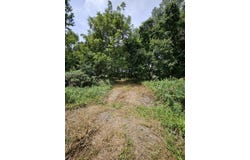 Settlers Trail Road, Marshfield, MO 65706