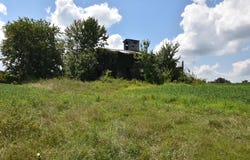 Beechy Creek Road, Wallingford, KY 41093