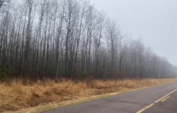 ON County Highway I, Ogema, WI 54459