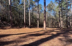Cotton Lane, Minden, LA 71055