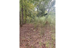 Burns Road, Greer, SC 29651