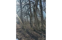 3rd St, Midway, PA 15060