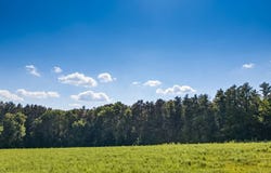 L14.02 Hinman Rd, Cooperstown, NY 13326