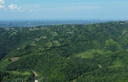 Magueyez, Corozal, PR 00783