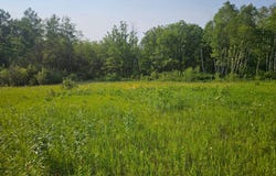 County Road 36, Crosby, MN 56441
