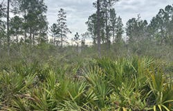 Old Grade Road, FL 33868
