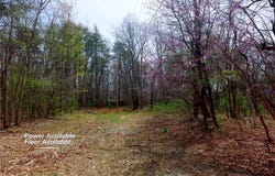 Johnson Farm Road, Pilot Mountain, NC 27041