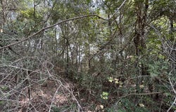 Glenndale Drive, Lumberton, MS 39455