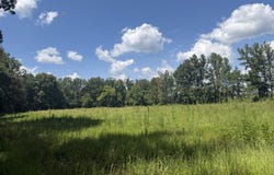 Country Road 428, PARIS, MS 38949