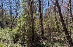 Cherry Lane lot: 0, Ivanhoe, VA 24350