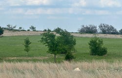 C R 438, Dublin, TX 76446