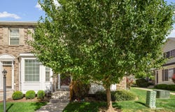 704 N 220 E, Salem, UT 84653