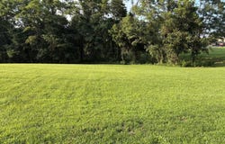 Button Ridge Rd, Bedford, KY 40006