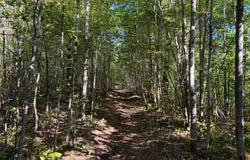 Estates, Kerrick, MN 55756
