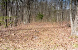 3 Viola Drive, Sparta, TN 38583