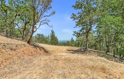 254 Juanita Way, Jacksonville, OR 97530