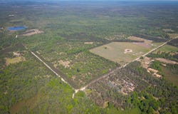 Parcel C Niemi Road, Kaleva, MI 49645