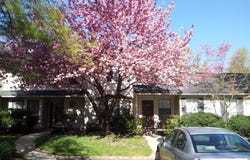 1904 Timber Oaks Road, Edison, NJ 08820