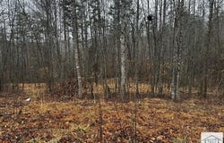 Lauren Mill Dr, Fieldale, VA 24089